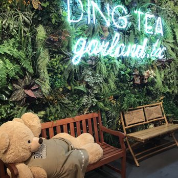 Ding Tea Garland - Bear is ready... - Coffee & Tea Near Me - Garland, Texas Ding Tea Garland - Bear is ready... - Coffee & Tea Near Me - Garland, Texas