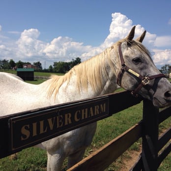 Old Friends - Horse Racing Near Me - Georgetown, Kentucky