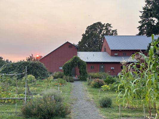 Champoeg State Park by null