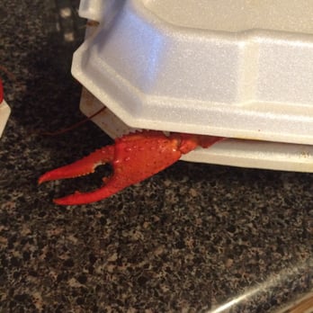 Claw Daddy's - Big boy trying to get out - Seafood Markets Near Me - Gulfport, Mississippi