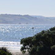 Doran Regional Park 538 Photos 111 Reviews Parks 1 Doran Beach Rd Bodega Bay Ca Phone Number Yelp