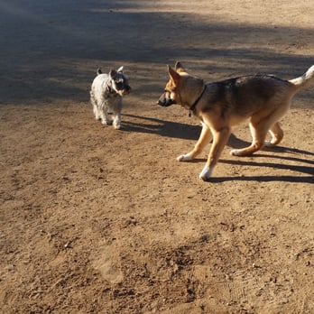 Central Bark - Dog Parks Near Me - Santa Clarita, California Central Bark - Dog Parks Near Me - Santa Clarita, California