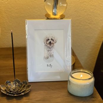 Corona del Mar Animal Hospital - Bentley the Bichon - Veterinarians Near Me - Corona Del Mar, California Corona del Mar Animal Hospital - Bentley the Bichon - Veterinarians Near Me - Corona Del Mar, California