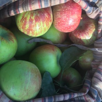 Apple-A-Day Ratzlaff Ranch - Fruits & Veggies Near Me - Sebastopol, California