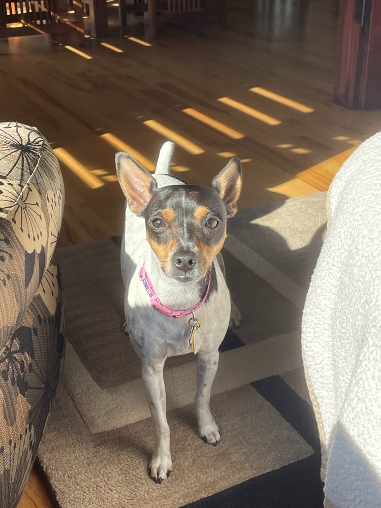 ELKHORN ANIMAL HOSPITAL Updated August 2024 13 Reviews 21001 W