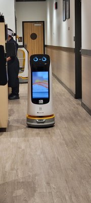 Kura Revolving Sushi Bar by null