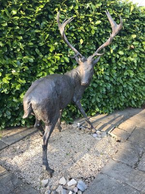 The White Hart at Fyfield by null