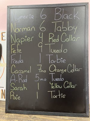 Menu photo 2 Beans Cat Cafe Beacon, NY
