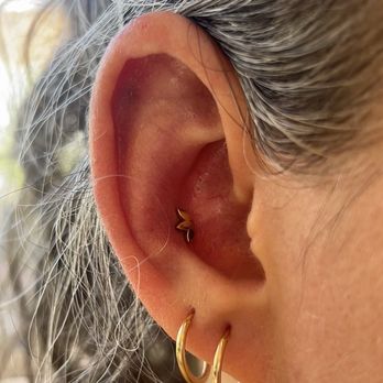 Shaman Modifications Body Piercing Studio - Conch piercing with gold marquee - Piercing Near Me - Austin, Texas Shaman Modifications Body Piercing Studio - Conch piercing with gold marquee - Piercing Near Me - Austin, Texas