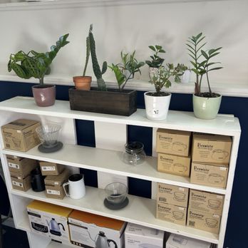 Kinship Cafe - Lots of plants - Coffee & Tea Near Me - Kansas City, Kansas Kinship Cafe - Lots of plants - Coffee & Tea Near Me - Kansas City, Kansas