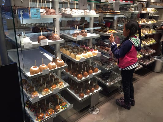 Rocky Mountain Chocolate by null