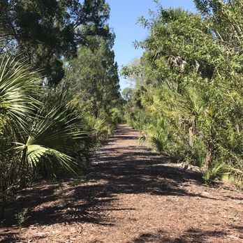 Pasco Palms Preserve - Parks Near Me - New Port Richey, Florida Pasco Palms Preserve - Parks Near Me - New Port Richey, Florida