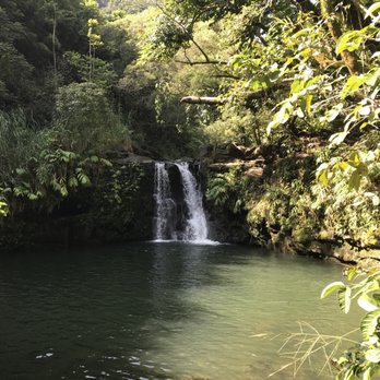 Holo Holo Maui - The waterfall where you can jump off!! Epic! - Tours Near Me Holo Holo Maui - The waterfall where you can jump off!! Epic! - Tours Near Me