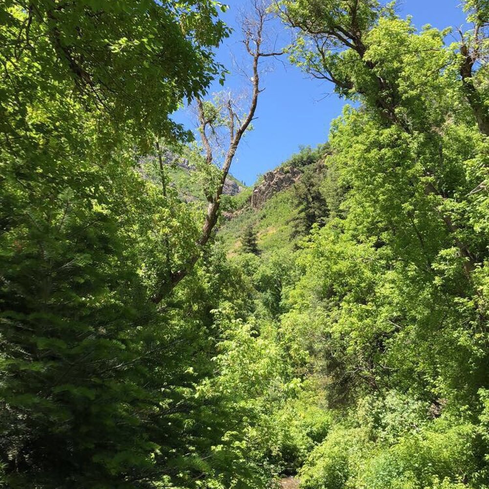 Desolation Trail - Hiking Near Me - Salt Lake City, Utah