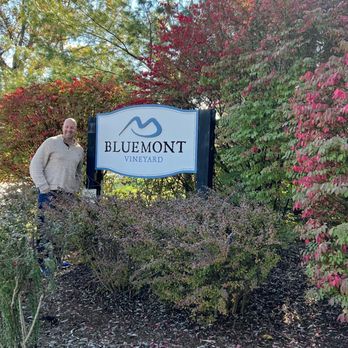 Bluemont Vineyard - Venues & Event Spaces Near Me - Bluemont, Virginia Bluemont Vineyard - Venues & Event Spaces Near Me - Bluemont, Virginia