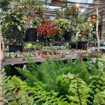 Terrain - Nurseries & Gardening Near Me - Glen Mills, Pennsylvania Terrain - Nurseries & Gardening Near Me - Glen Mills, Pennsylvania