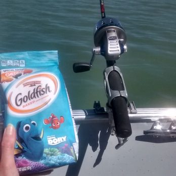 Heron Lake State Park - Fishing for kokanee - Parks Near Me - Albuquerque, New Mexico