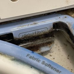 Florida Spirit Property Management - Mold in the washer