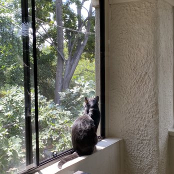 Screen Solutions - Windows Installation Near Me
