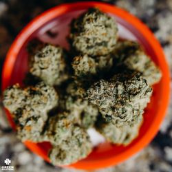 Green Solutions - Dive on in to the world of premium flower with a visit to Green Solutions! We are open every day until 9.