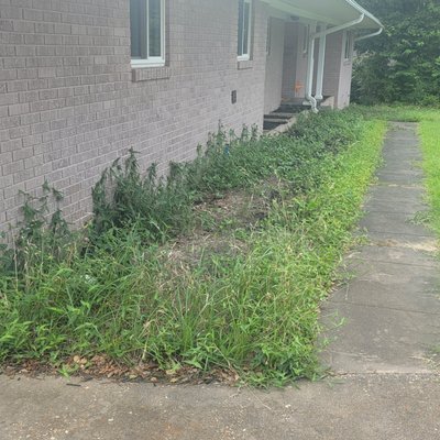 Jones Landscaping and Lawn Services