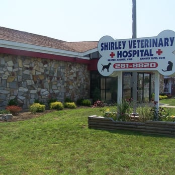 Shirley Veterinary Hospital - Shirley Veterinary Hospital - Veterinarians Near Me - Shirley, New York Shirley Veterinary Hospital - Shirley Veterinary Hospital - Veterinarians Near Me - Shirley, New York