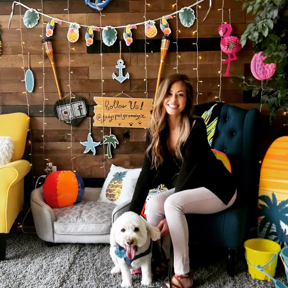 JUDY’S PET GROOMING Updated October 2024 391 Photos & 150 Reviews