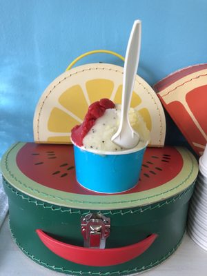 Alisha’s Treats & Eats / Little Lulus Italian Ice by null