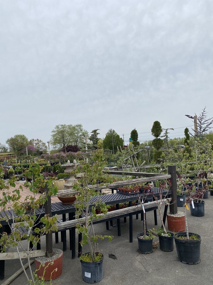 BLUE MOUNT NURSERY Updated September 2024 16 Photos & 74 Reviews