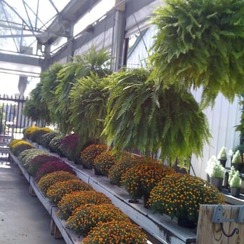 Abide A While Garden Boutique - Nurseries & Gardening Near Me - Mount Pleasant, South Carolina
