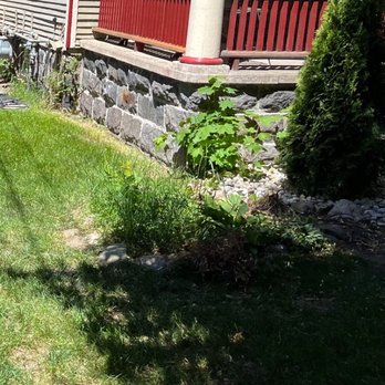 Michlawn Services - Failed to remove weeds or put in sod as requested - Snow Removal Near Me - Byron Center, Michigan