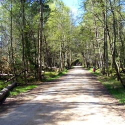 Wydmy Ruchome - Dune Łeba - Der Weg durch den Nationalpark.