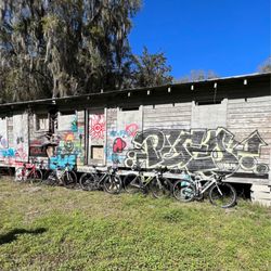 Gainesville - Hawthorne State Trail - Gainesville-Hawthorne Trail