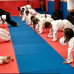 Genova Family Karate of Lexington