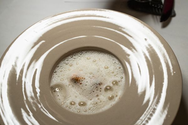 Hallmann und Klee by null