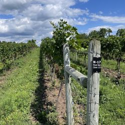 Quarry Ridge Winery