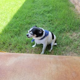 He's a bit camera shy...lol!!