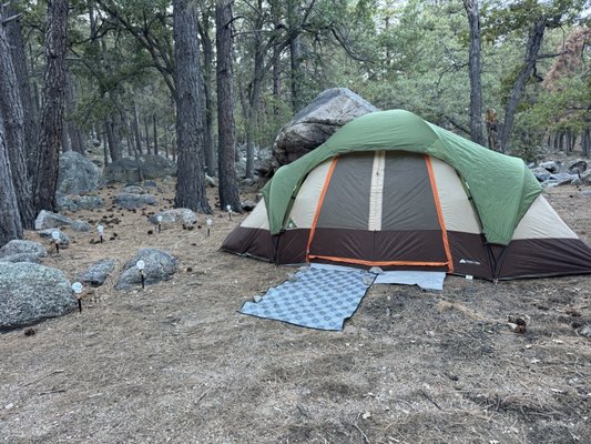 Hualapai Mountain Park Campground by null