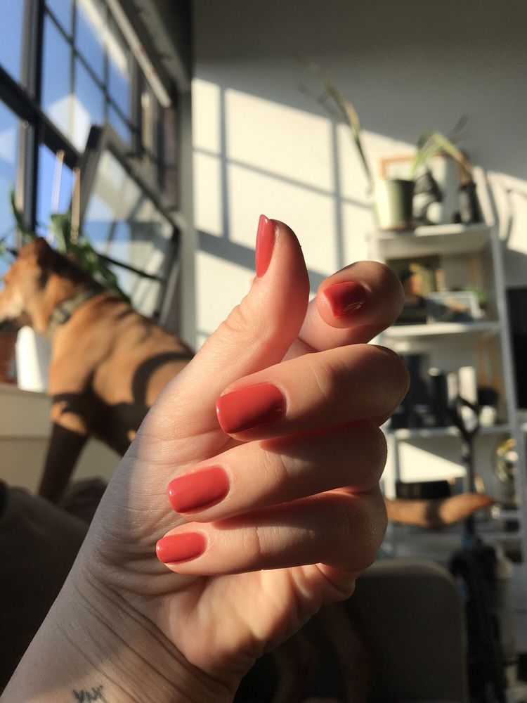 THE POLISH NAIL LOUNGE 101 Photos & 145 Reviews Nail Salons 2403 Fairmount Ave