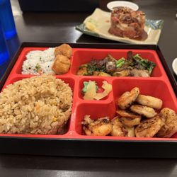 Shogun - Lunch bento box - so much food!