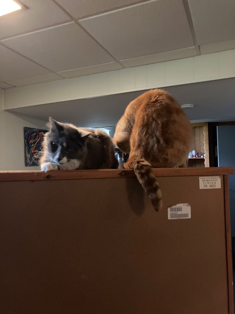 BANNISTER VETERINARY CLINIC Updated September 2024 19 Photos & 15