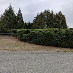 Bizy Boys Lawn and Yard Care