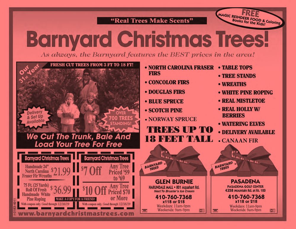 THE BARNYARD CHRISTMAS TREES Updated September 2024 4358 Mountain