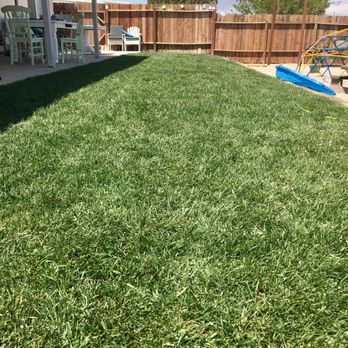 Dixon Hydroseeding - Thanks again dean! - Lawn Services Near Me - Hesperia, California Dixon Hydroseeding - Thanks again dean! - Lawn Services Near Me - Hesperia, California
