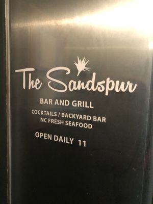 The Sandspur by null