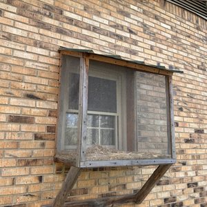 SERVALL TERMITE & PEST CONTROL - Updated December 2024 - 890 University