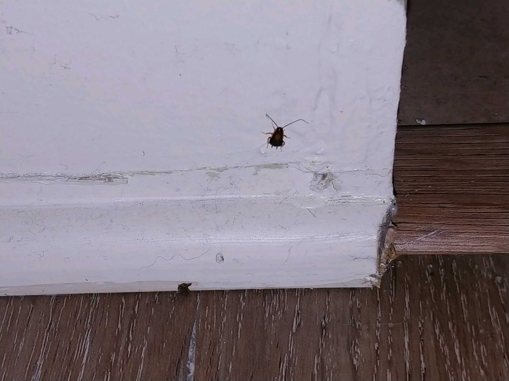 BEN LEEDS APARTMENTS Updated April 2024 17 Photos 14410 Valerio