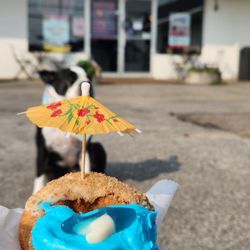 Jupiter Coffee and Donuts