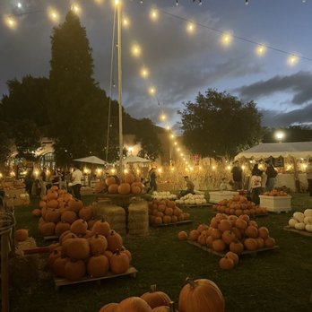 Goff Family Pumpkin Patch - Pumpkin Patches Near Me - San Diego, California