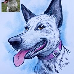 Tooned In Caricature - Pet caricatures by John O'Connell. We draw live at pet events or can draw commissions from photos.